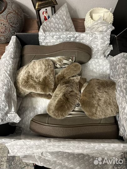 Jog dog 36 новые