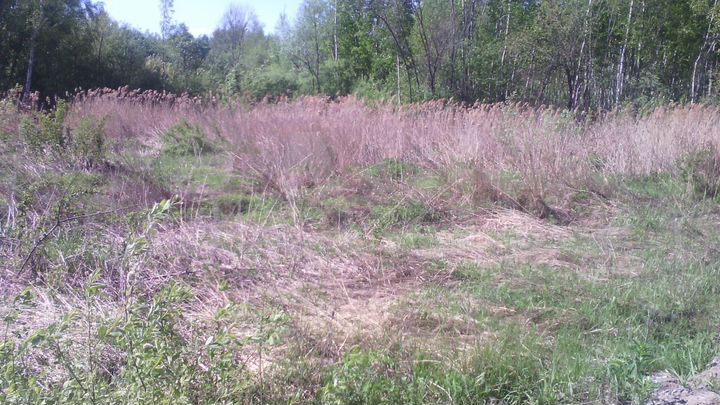 Участок 12 сот. (СНТ, ДНП)