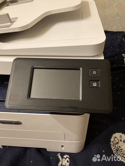 Мфу принтер xerox b215