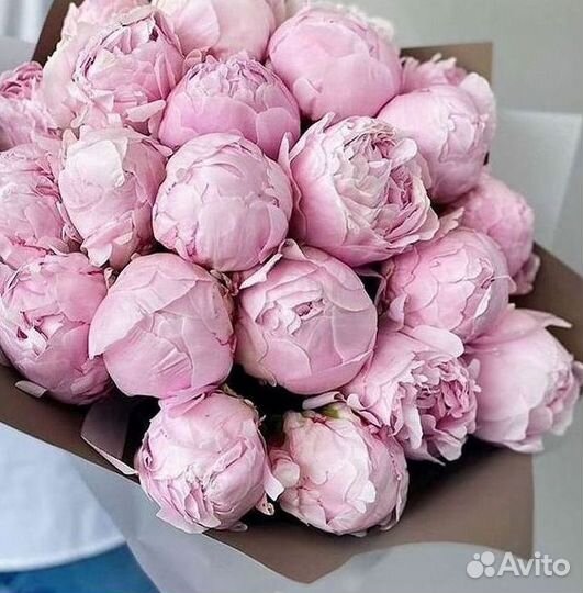 Пионы Букеты Цветы Доставка