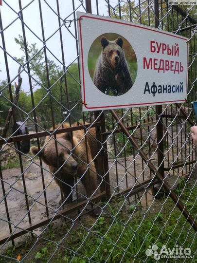 13 октября Тройной тур в Адыгею