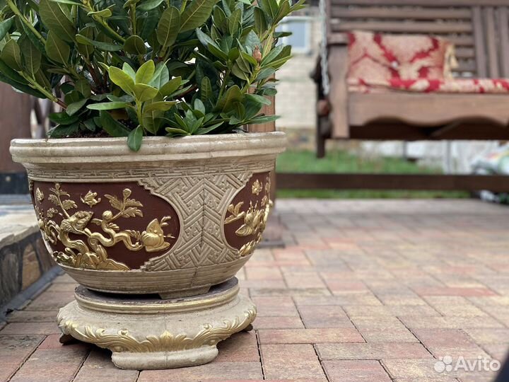 Горшки для цветов оптом