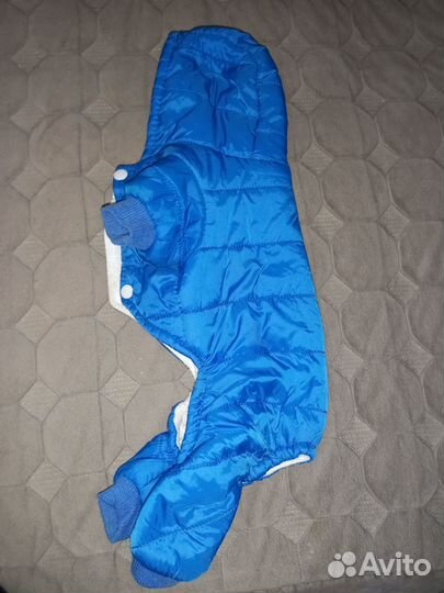 Одежда для маленьких собак