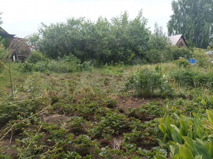 Участок 4 сот. (СНТ, ДНП)