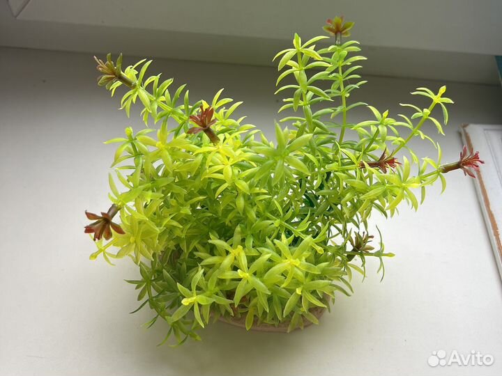 Украшение для аквариума