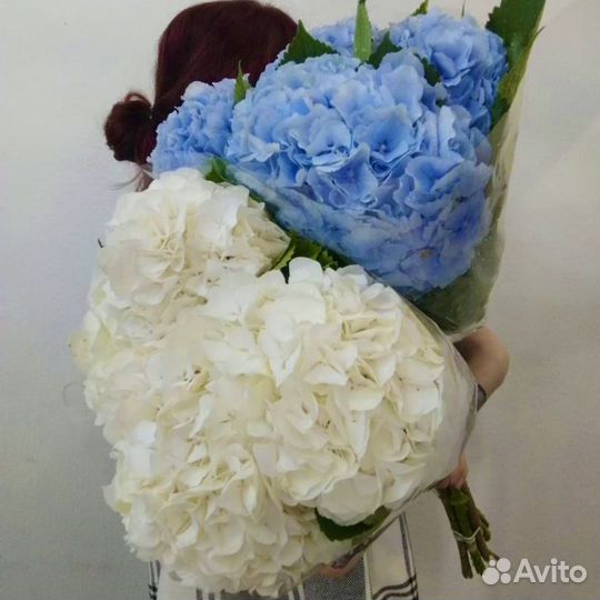 Лучшие букеты из гортензии и других цветов