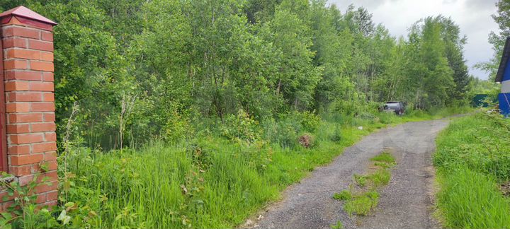 Участок 16 сот. (СНТ, ДНП)