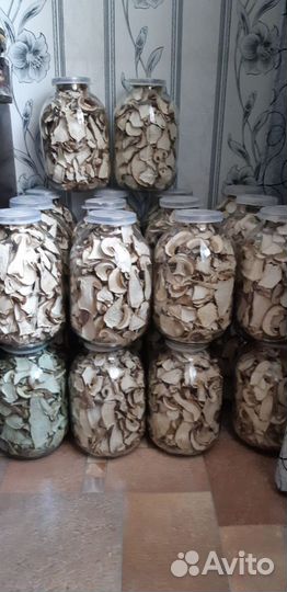 Грибы белые(сухие)