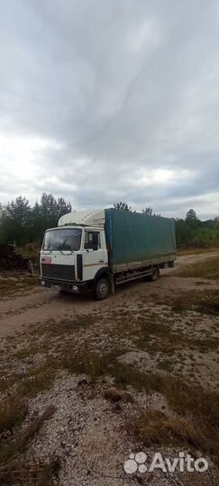 МАЗ 437041-262, 2006