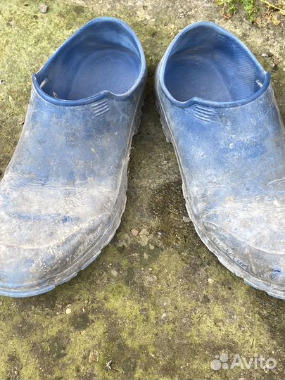 Хорошый штэблет нийк