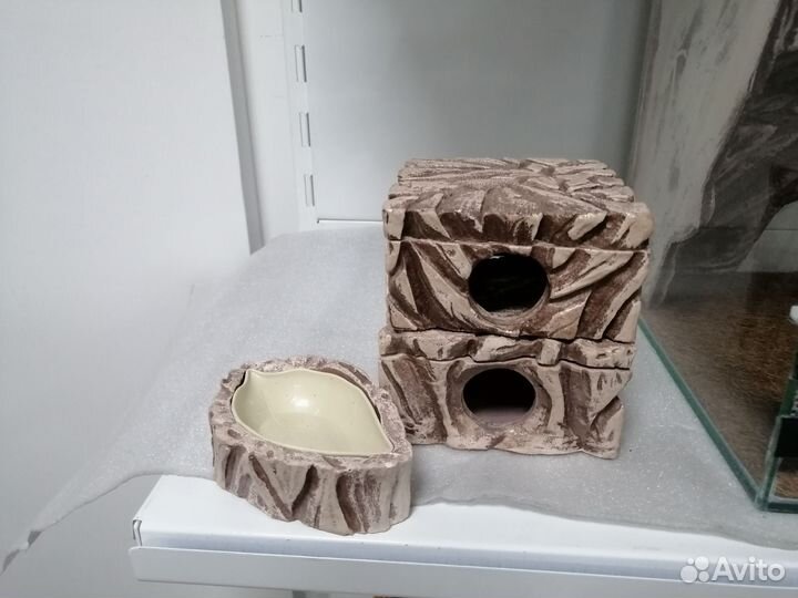 Террариум для рептилий