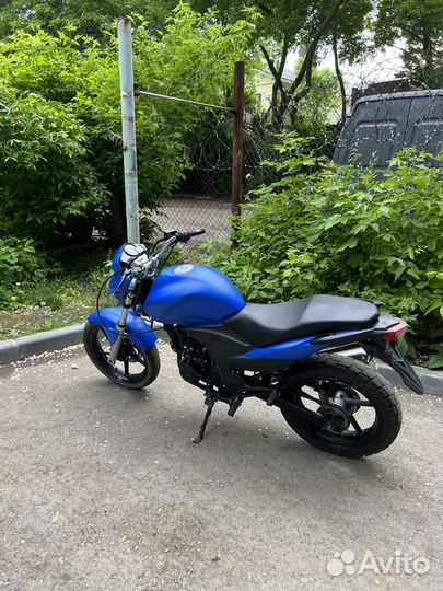 Stels Flex 250