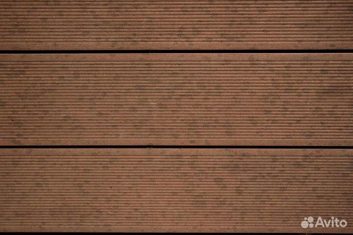 Планкен лиственница сорт ав