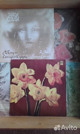 Набор грампластинок времён СССР (67 штук)