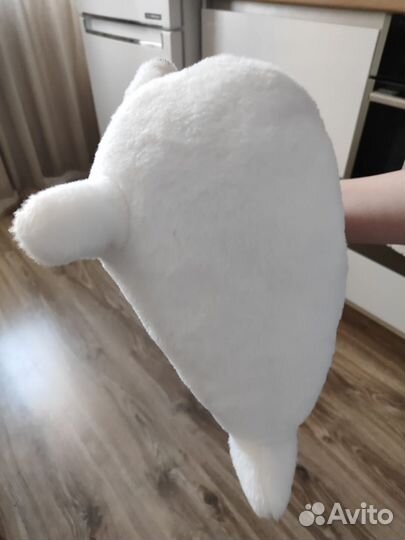 Морской котик Морис