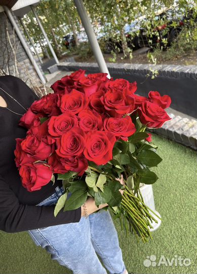 Розы роза цветы