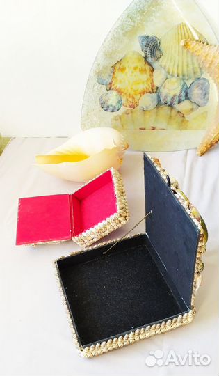 Морские раковины для дизайна интерьера