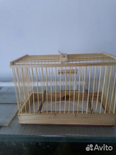 Певчие птицы