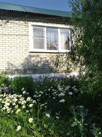 2-к. квартира, 50 м², 1/1 эт.