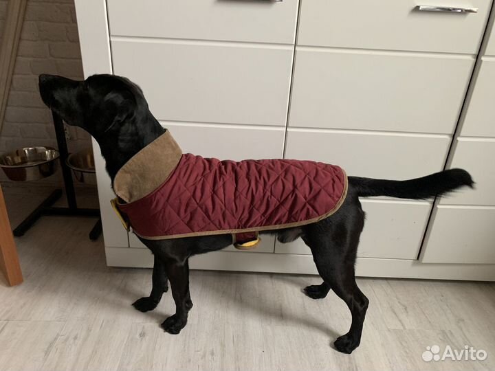 Попона утепленная для средних собак