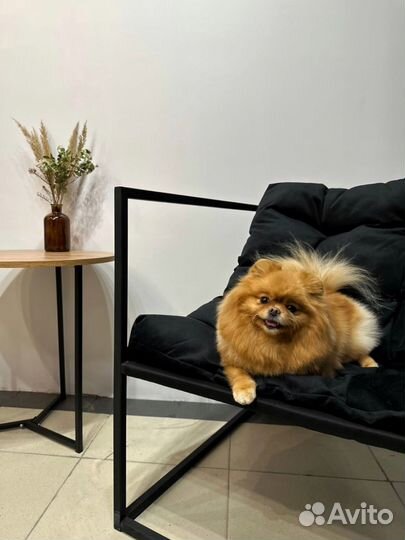 Груминг собак. Экспресс линька