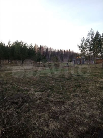 Участок 11,3 сот. (СНТ, ДНП)