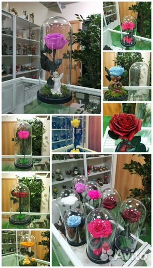 Подарки из цветов - большой выбор, от