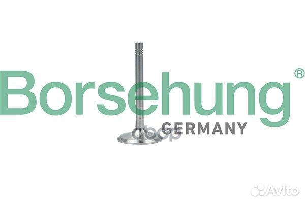Клапан выпускной Borsehung