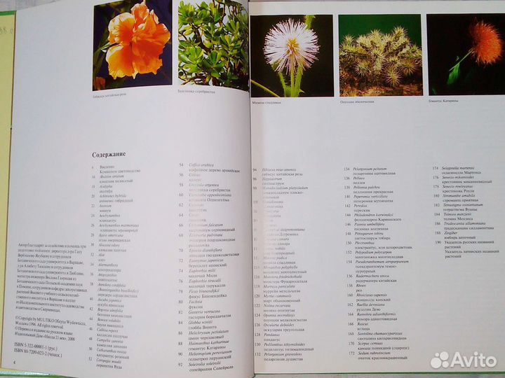 Энциклопедия комнатных растений
