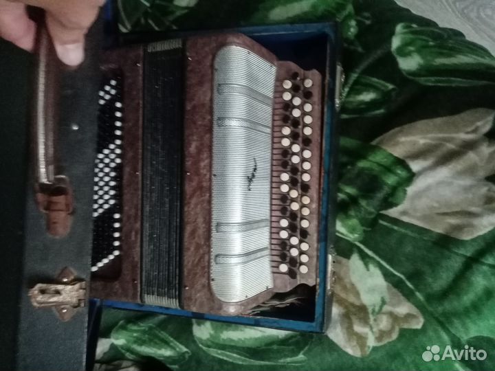 Баян
