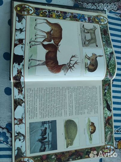 Подарочные книги. Храмы России и другие