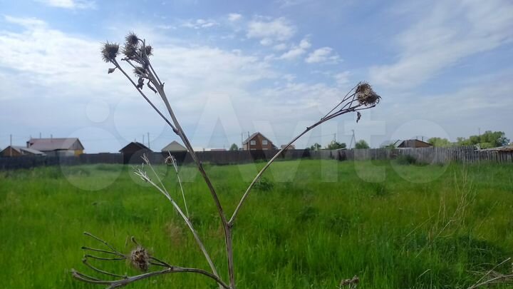 Участок 20 сот. (ИЖС)