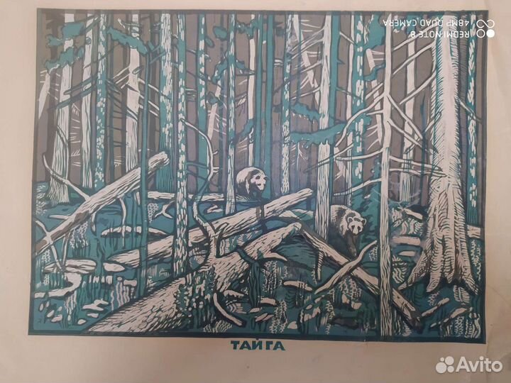 Линогравюры коллекция СССР. редкость