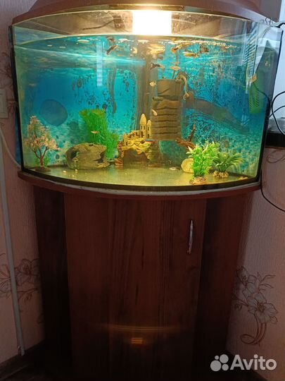 Аквариум с тумбой 60 литров