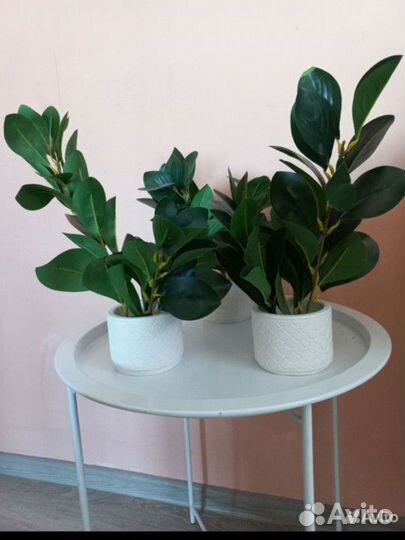 Фикус искуственный