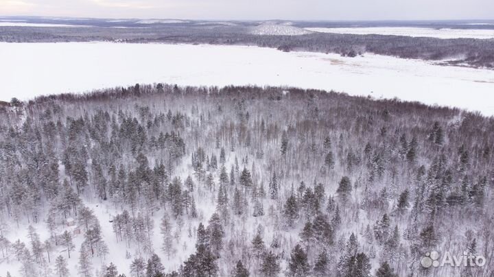 Тур зимой для всей семьи на Белое море