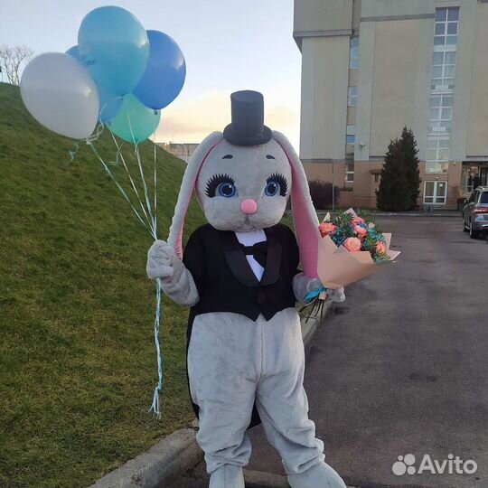 Ростовой костюм Заяц