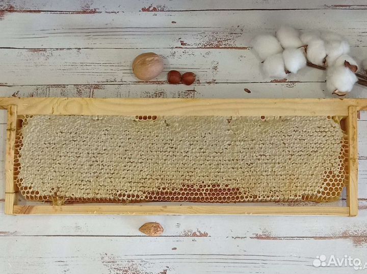 Мёд в сотах Алтайский