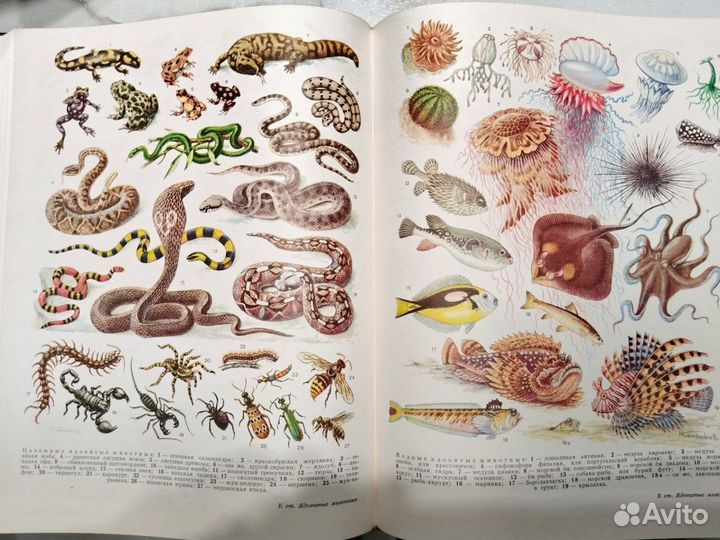 Большая Советская Энциклопедия 30 томов