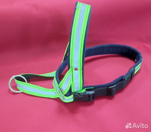 Намордник для собак и шлейки