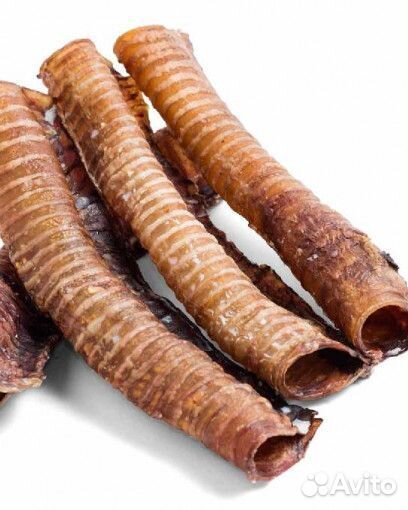 Лакомства для собак - вкусняшки для собак