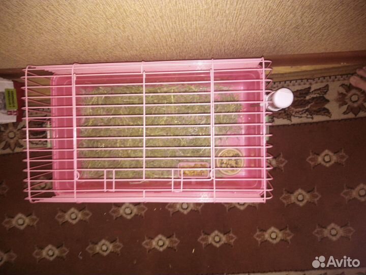 Клетка для грызунов