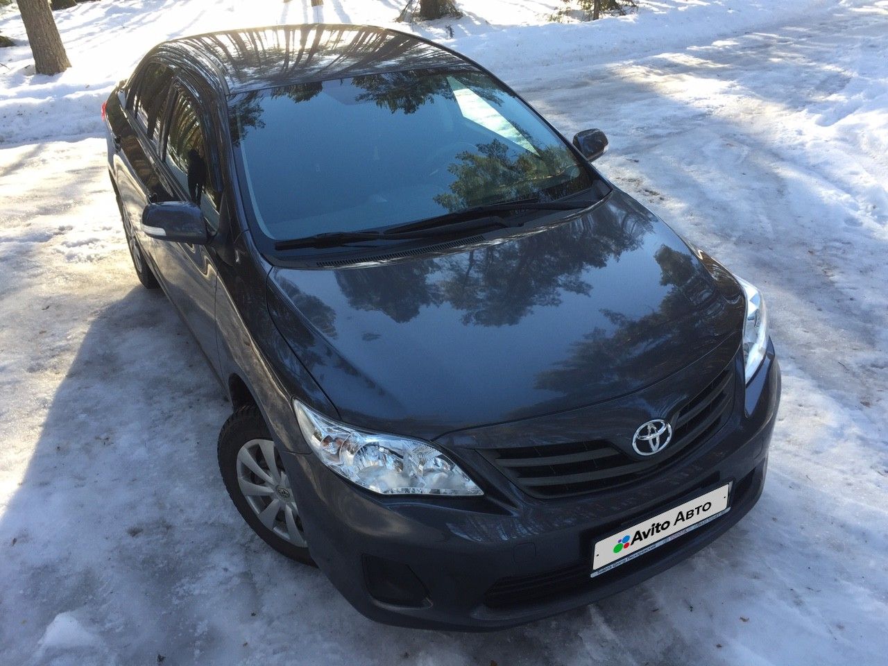 Toyota Corolla: фото владельца