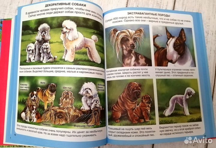 Детская энциклопедия Домашние питомцы изд. Маxаон