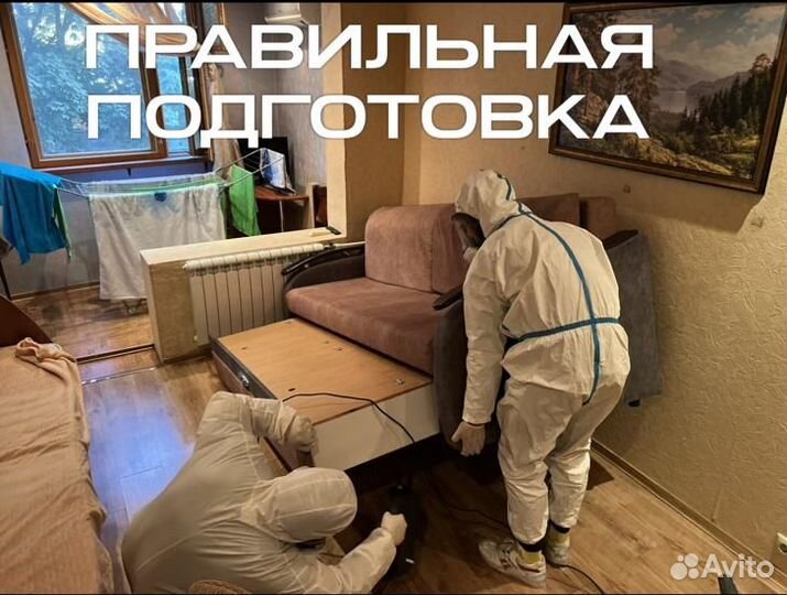 Уничтожение клопов, травить тараканов. Дезинфекция