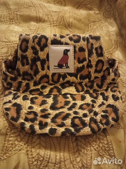 Одежда, кепка для мелких собак