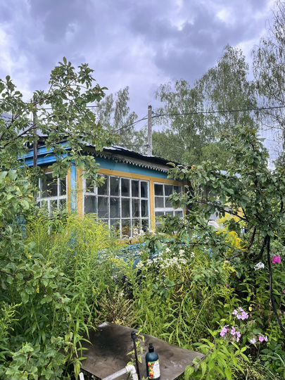 Дача 25 м² на участке 3,8 сот.