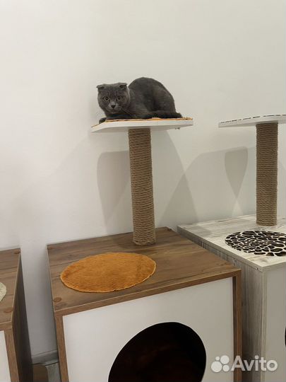 Домик для кошки с когтеточкой