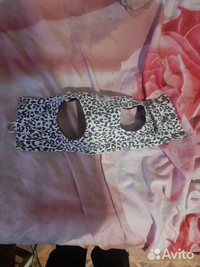 Одежда для маленьких собак и поводки