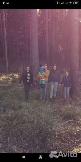 Сценарист/Режиссёр